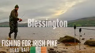 Pike Fishing in IRELAND 🇮🇪 Dead bait /Reservoir that Holds Monster Pike🎣