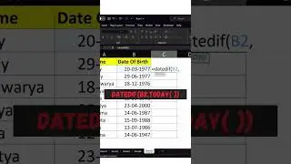 Excel Secrets : Time Machine : Excel Age Calculator #shorts