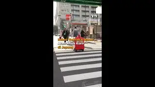 Robot 'Ramah & Manis', Atasi Krisis Kurir di Jepang