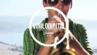 Vinilo Digital - Raiz Esencial 