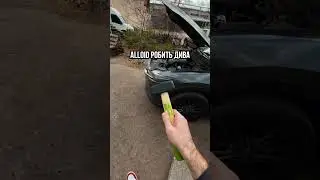 Alloid робить дива ;)