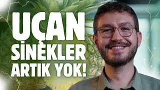 Gözde Uçuşan Cisimler için Yeni ve Bitkisel Tedavi Araştırması