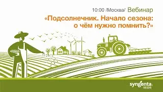 Подсолнечник. Начало сезона 2021: о чем нужно помнить?