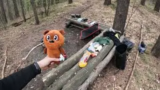 Заельцовский бор 09-10.V.24