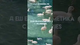 Бюджетная косметика с Wildberries 
