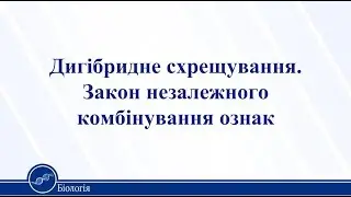 Дигібридне схрещування. Закон незалежного комбінування ознак. Біологія 11 клас