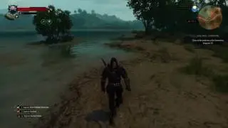 The Witcher 3: Wild Hunt - stuck in combat mode