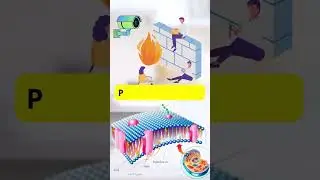 ➡️ ¿Cómo FUNCIONA la MEMBRANA CELULAR? ✅ Membrana PLASMÁTICA
