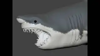 Texturing Shark in Zbrush-Realistic poly-painting in Zbrush
