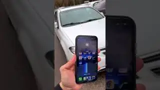 Kotta bollar Gentrasi