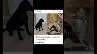 Тупое авито #мем #авито