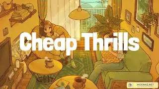 Sia - Cheap Thrills (Lyrics)