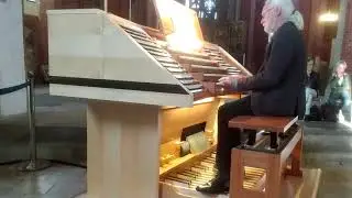 Orgel - KMD Fred Litwinski