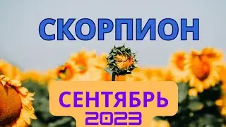 🌻Прогноз для Скорпиона 🌞 СЕНТЯБРЬ 2023🥤🍇