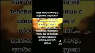 20 июня 2022 г.(1)