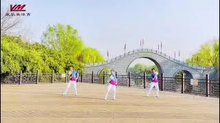 柔力球健身套路《花桥流水》正面示范