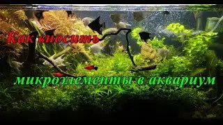 Как вносить микроэлементы в аквариум