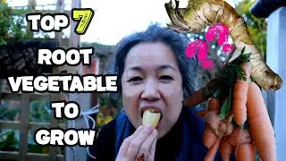 Episode 14...My all time favourite root vegetables to harvest during the cold season