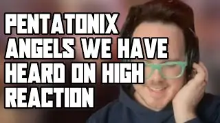 PENTATONIX | ANGELS WE HAVE HEARD ON HIGH | MUSICIAN REACTS