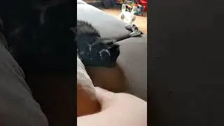 😺 