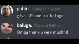 IF PABLO BUYS IPHONE FOR BELUGA