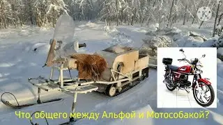 Что, делать если течёт бензин, через крышку бака! Мотособака, мотоблок.