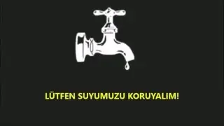 Bazen maymun insanı ve insan maymunu örnek alır.