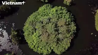 U Minh Thuong National Park - The Unique Forest of the World