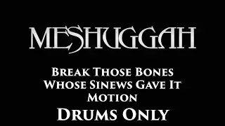 Meshuggah Break Those Bones Whose Sinews Gave It Motion DRUMS ONLY