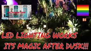 The LED Dramatic Lighting Experience Brings This Great Curb Appeal To This Landscape!