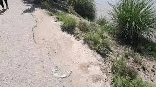 Джаркурган