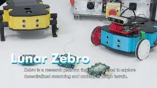 Lunar Zebro