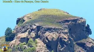 Montaña o Risco Faneque, Agaete