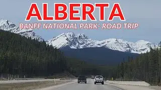 ALBERTA CANADA ROAD TRIP | CANMORE-BANFF