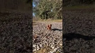Day In My Life tiktok gordiangleiss