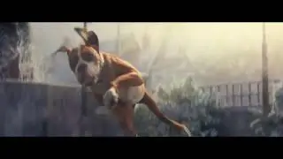 John Lewis Christmas Advert 2016   #BusterTheBoxer