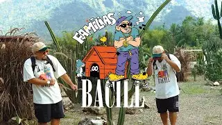 Bacill - Bac