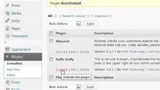 WordPress Tutorial  -11 -  Plugins
