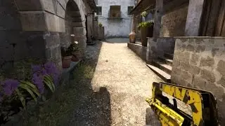Worst teammate 