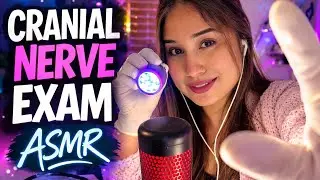 ASMR | Medical Cranial Nerve 🧠 Exam | Personal Attention, Gloves, Light Test | THE VJ ASMR