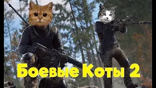 Боевые коты 2/3/Раст/Rust
