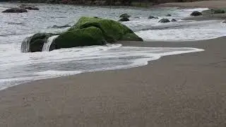 Ocean Waves🌊Crashing On Beach🏖️ |🍃Natural Sound🍃