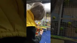Крутая композиция за 5 мин? Легко, если знаешь правила флористики! Подписывайся, тут много лайфхаков