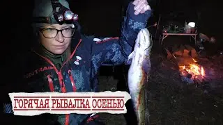 НАЛИМ ОСЕНЬЮ !! РЕКА МОЛОГА !! ТЕСТ КОСТЮМОВ FINNTRAIL
