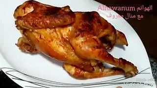طريقة عمل الفراخ البلدي بسهوله واطعم شوربه مع منال معروف (الجزء الاول)