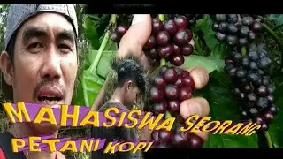 Mahasiswa  petani kopi mudah