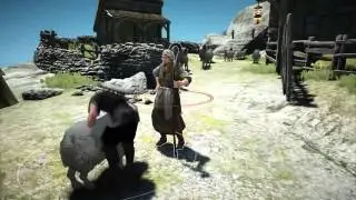 Black Desert Online  Features Trailer