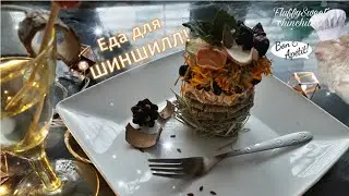 Как кормить ШИНШИЛЛ? КОРМ ДЛЯ ШИНШИЛЛ.