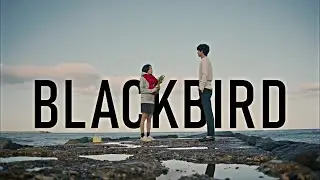 Blackbird | Goblin