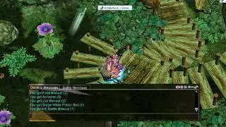Shiba and Fire Scrolls | ROPH Valkyrie